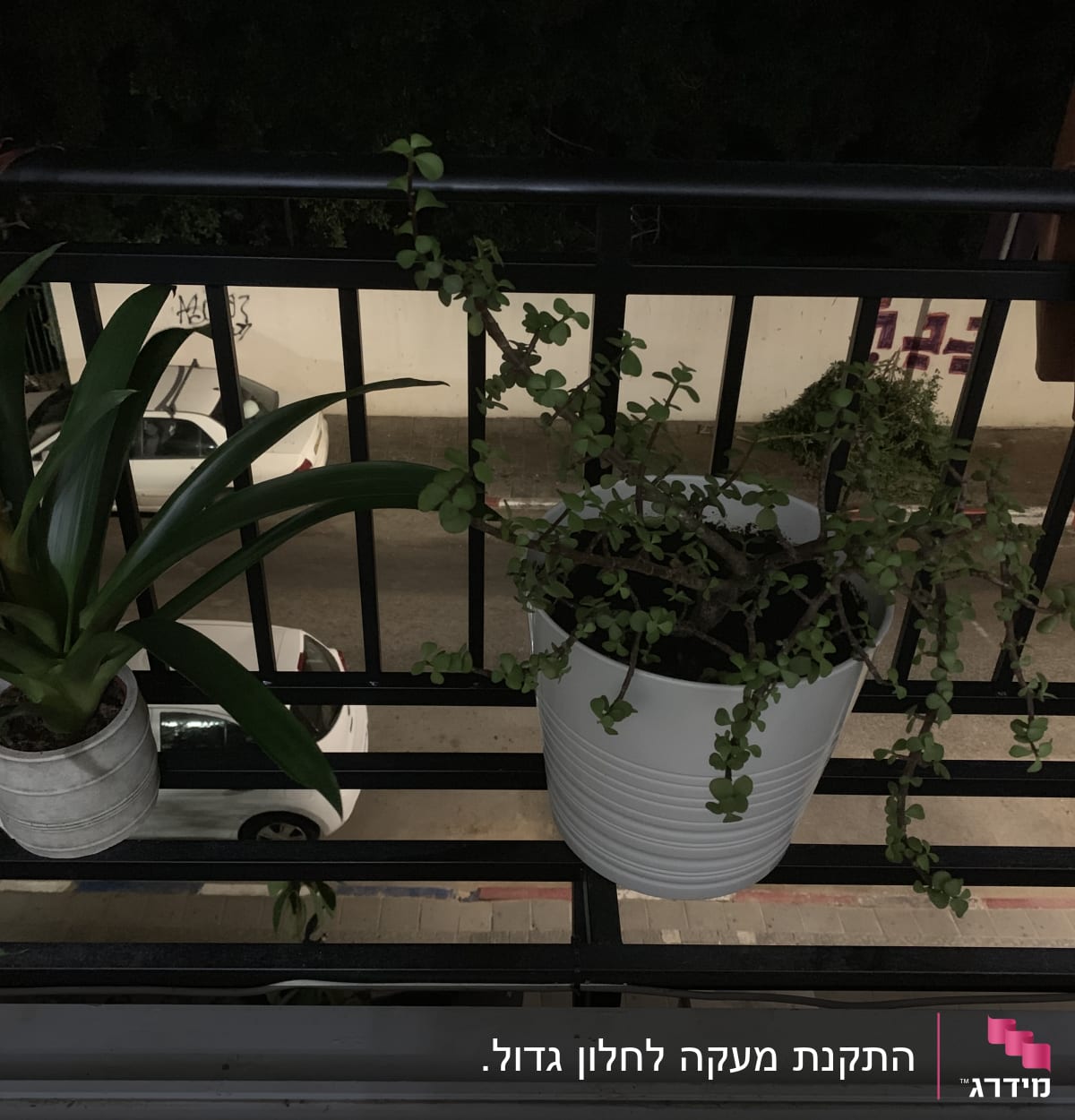 עציצים תלויים על מעקה מרפסת בלילה